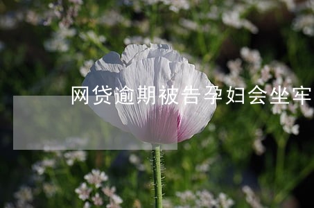网贷逾期被告孕妇会坐牢吗 网贷逾期被告孕妇会坐牢吗