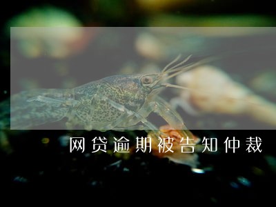 网贷逾期被告知仲裁 网贷逾期被告知仲裁