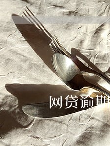 网贷逾期被告诈骗案 网贷逾期被告诈骗案