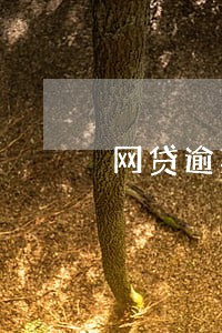 网贷逾期被告该怎么办 网贷逾期被告该怎么办