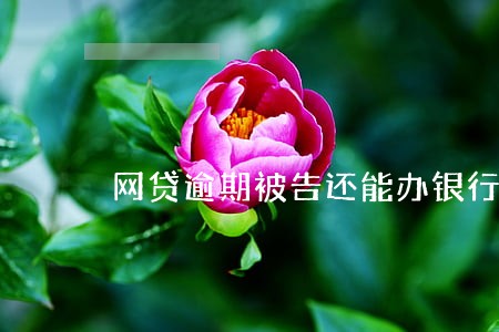 网贷逾期被告还能办银行卡吗 网贷逾期被告还能办银行卡吗