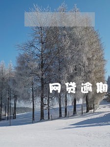 网贷逾期被告还能协商宽限吗