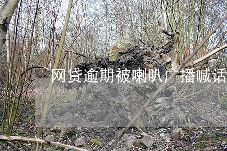 网贷逾期被喇叭广播喊话 网贷逾期被喇叭广播喊话