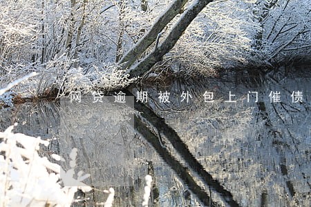 网贷逾期被外包上门催债怎么办 网贷逾期被外包上门催债怎么办