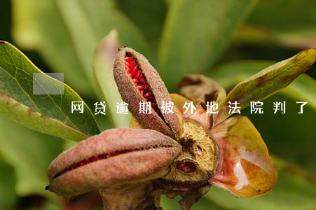 网贷逾期被外地法院判了 网贷逾期被外地法院判了