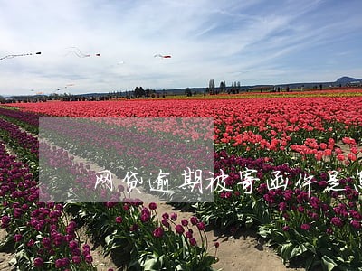 网贷逾期被寄函件是怎么样的 网贷逾期被寄函件是怎么样的