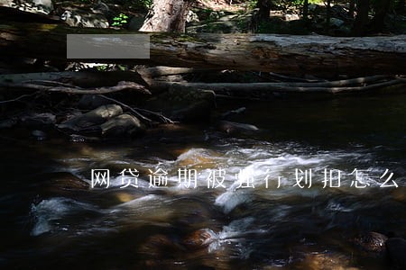 网贷逾期被强行划扣怎么办