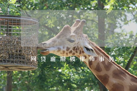 网贷逾期被律师事务所 网贷逾期被律师事务所