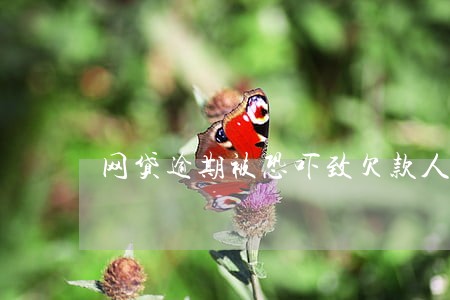 网贷逾期被恐吓致欠款人死亡 网贷逾期被恐吓致欠款人死亡