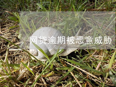 网贷逾期被恶意威胁 网贷逾期被恶意威胁