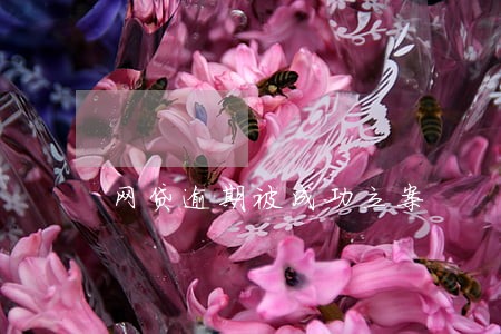 网贷逾期被成功立案 网贷逾期被成功立案
