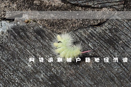 网贷逾期被户籍地经济调查 网贷逾期被户籍地经济调查