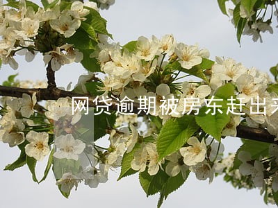 网贷逾期被房东赶出来 网贷逾期被房东赶出来