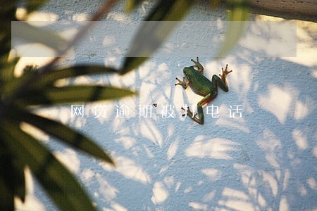 网贷逾期被打电话 网贷逾期被打电话