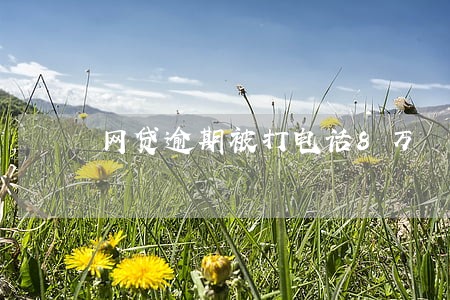 网贷逾期被打电话8万 网贷逾期被打电话8万