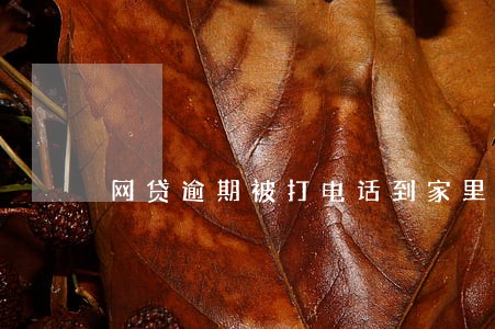 网贷逾期被打电话到家里怎么办 网贷逾期被打电话到家里怎么办
