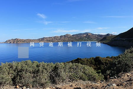 网贷逾期被打视频 网贷逾期被打视频