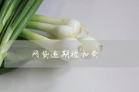 网贷逾期被扣费 网贷逾期被扣费