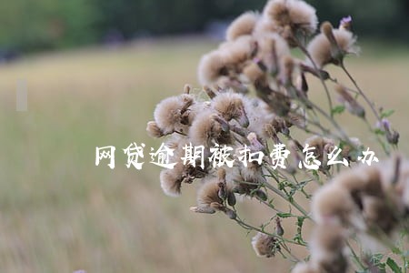 网贷逾期被扣费怎么办 网贷逾期被扣费怎么办