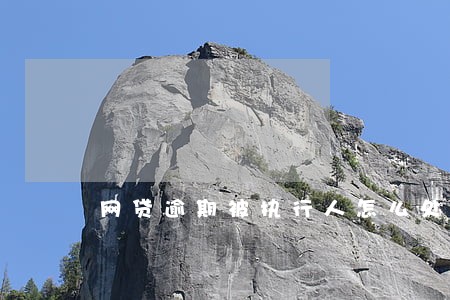 网贷逾期被执行人怎么处理 网贷逾期被执行人怎么处理