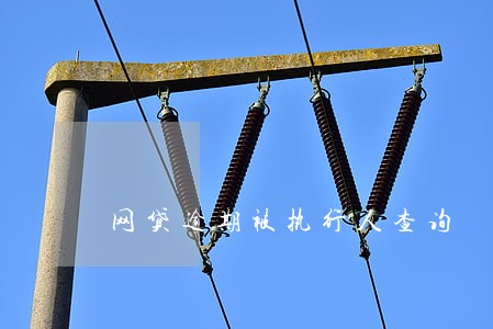网贷逾期被执行人查询 网贷逾期被执行人查询