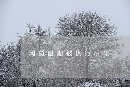 网贷逾期被执行后果 网贷逾期被执行后果
