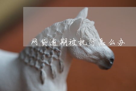 网贷逾期被执行怎么办 网贷逾期被执行怎么办