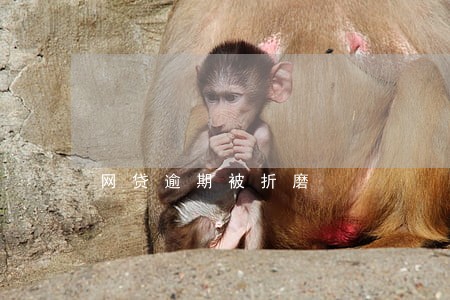 网贷逾期被折磨 网贷逾期被折磨