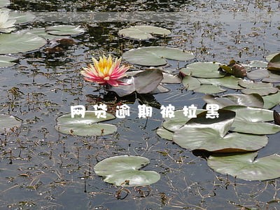 网贷逾期被拉黑 网贷逾期被拉黑