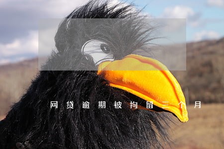 网贷逾期被拘留三个月 网贷逾期被拘留三个月