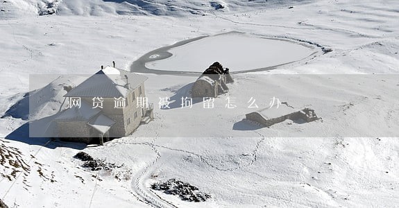 网贷逾期被拘留怎么办 网贷逾期被拘留怎么办