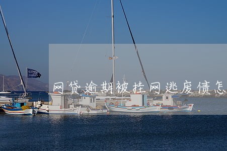 网贷逾期被挂网逃废债怎么办 网贷逾期被挂网逃废债怎么办
