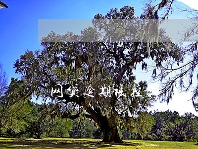 网贷逾期被控制 网贷逾期被控制