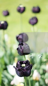 网贷逾期被无尽骚扰怎么办 网贷逾期被无尽骚扰怎么办