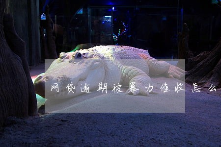 网贷逾期被暴力催收怎么投诉 网贷逾期被暴力催收怎么投诉