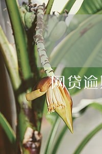 网贷逾期被暴力催收报警有用吗 网贷逾期被暴力催收报警有用吗