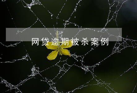 网贷逾期被杀案例