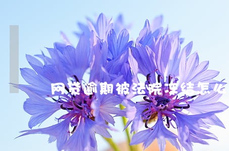 网贷逾期被法院冻结怎么办 网贷逾期被法院冻结怎么办