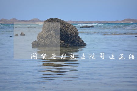 网贷逾期被法院司法冻结怎么解