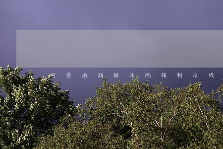 网贷逾期被法院强制没钱还 网贷逾期被法院强制没钱还