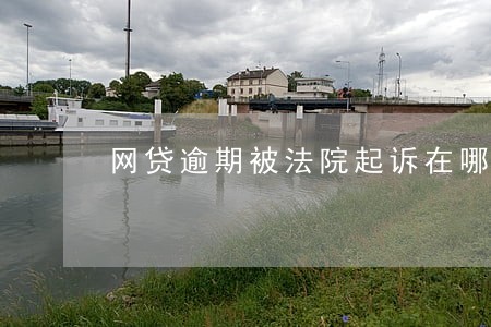 网贷逾期被法院起诉在哪里查 网贷逾期被法院起诉在哪里查