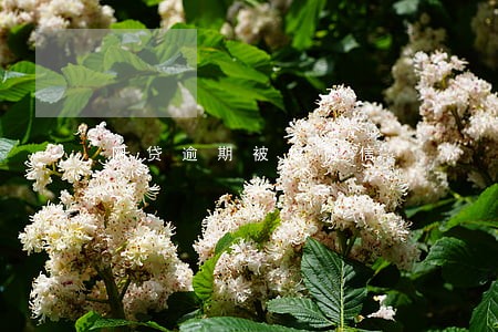 网贷逾期被爆微信 网贷逾期被爆微信