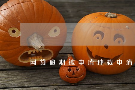 网贷逾期被申请仲裁申请 网贷逾期被申请仲裁申请