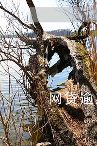 网贷逾期被申请立案通知 网贷逾期被申请立案通知