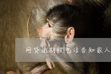 网贷逾期被电话告知家人