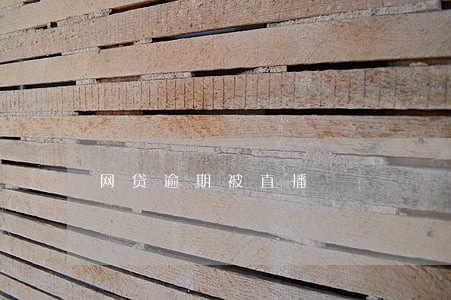 网贷逾期被直播 网贷逾期被直播