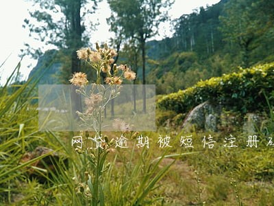 网贷逾期被短信注册码