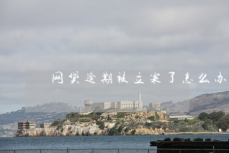 网贷逾期被立案了怎么办 网贷逾期被立案了怎么办