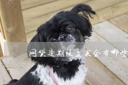 网贷逾期被立案会有哪些影响 网贷逾期被立案会有哪些影响