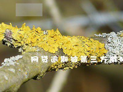 网贷逾期被第三方威胁 网贷逾期被第三方威胁